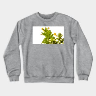 Herb Crewneck Sweatshirt